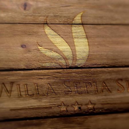 Willa Sepia Spa Висла Экстерьер фото