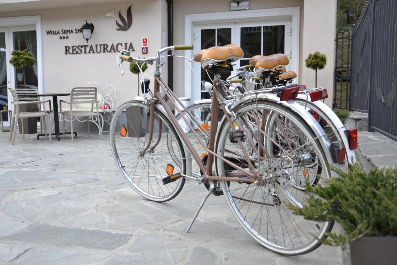 Willa Sepia Spa Висла Экстерьер фото